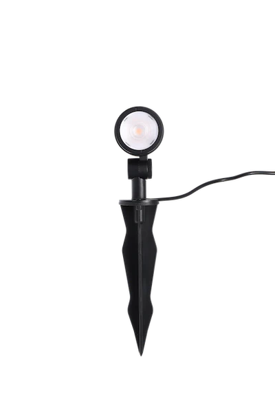 Bold - Strata M Spotlight