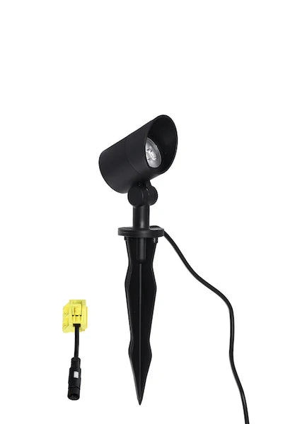 Bold - Strata S Spotlight