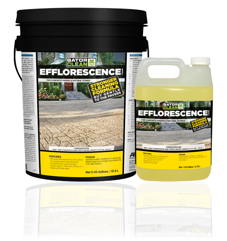 Gator Efflorescence Cleaner 1Gal