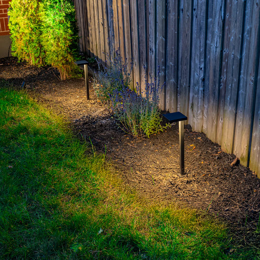 Bold - Blaze Low Path Light