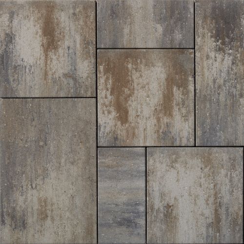 OAKS - Nueva 60mm Random Bundle — Champagne