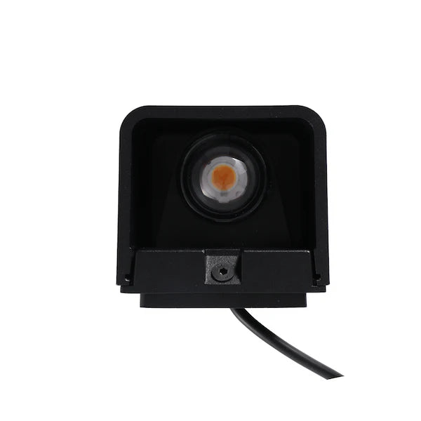 Bold - Dax Up Down Wall Light