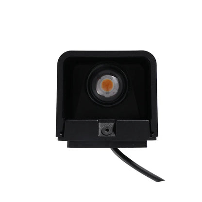 Bold - Dax Up Down Wall Light