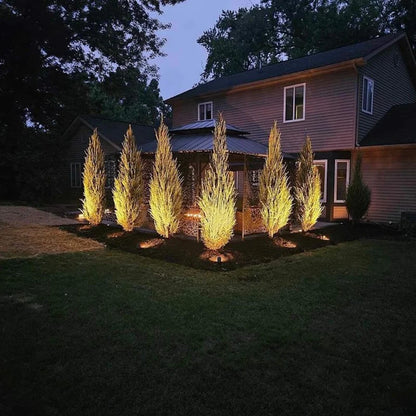 Bold - Strata S Spotlight